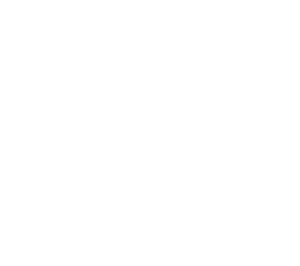 logo light